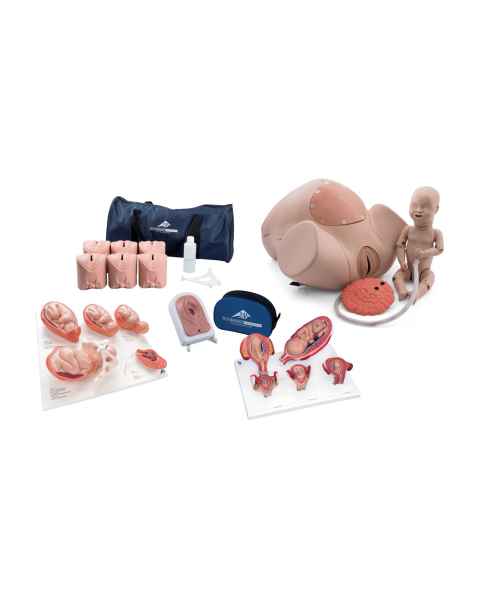 3B Scientific 8000878 Obstetrics Lab Pro Set