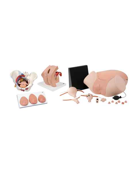 3B Scientific 8000879 Gynecology Lab Set