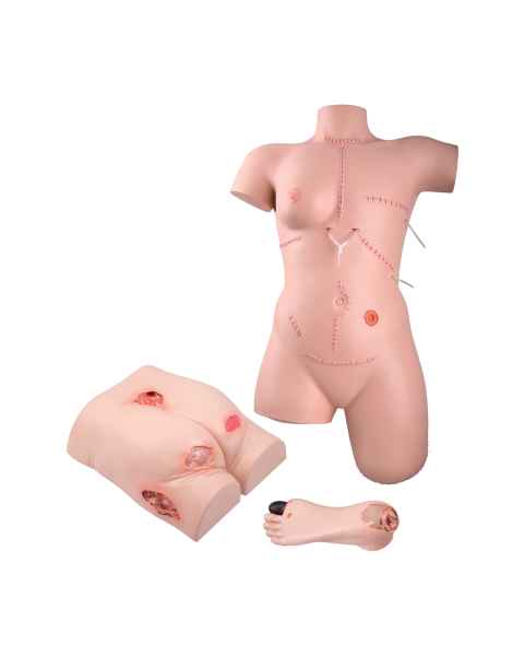 3B Scientific 8000880 Wound Care Basic Set