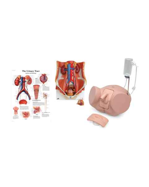 3B Scientific 8000892 Dual Sex Catheterization PRO Set