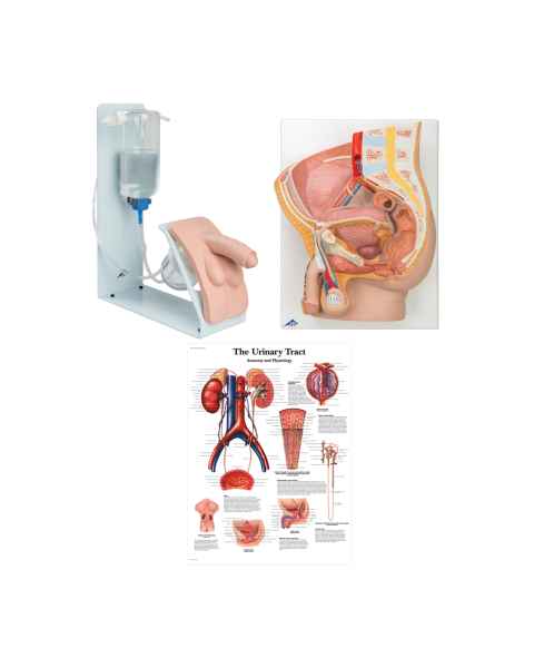 3B Scientific 8000898 Catheterization Basic Kit - Male