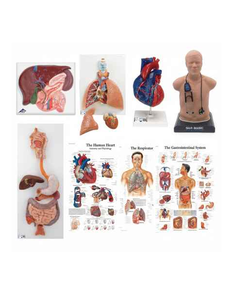 3B Scientific 8000995 Auscultation Training Set