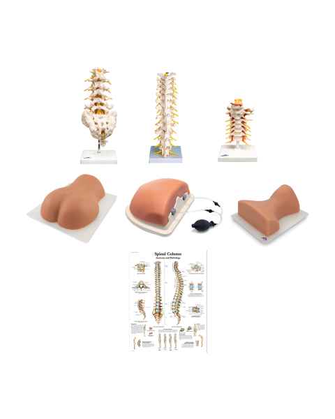 3B Scientific 8001095 Complete Spinal Injection Kit
