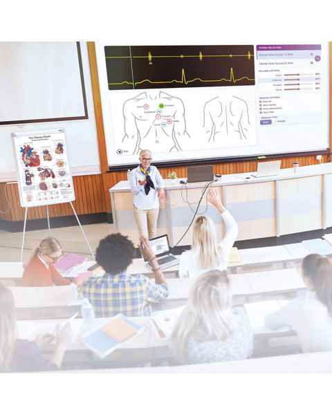 3B Scientific SAM4 Online Auscultation Software License - Classroom Auscultation