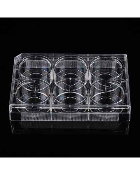 NEST Scientific 801004 6-Well Glass Bottom Cell Culture Plate - Front View Covered