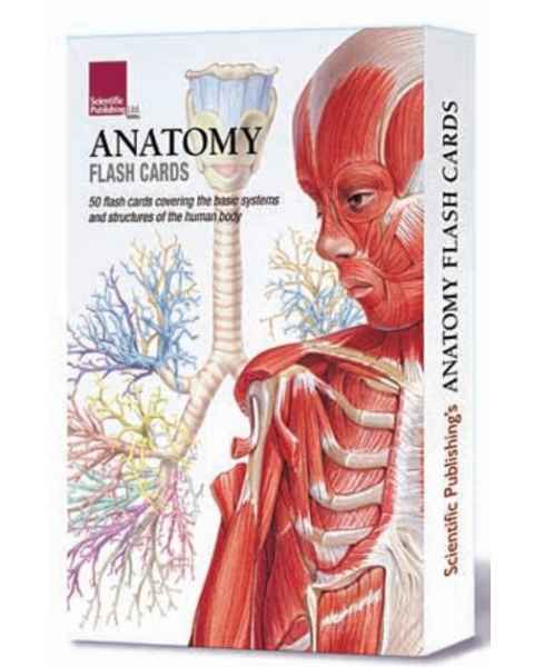 Anatomy Flash Cards