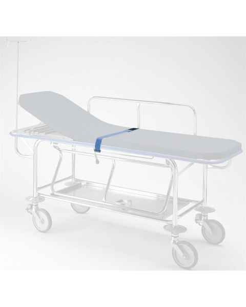 Pedigo Restraint Strap