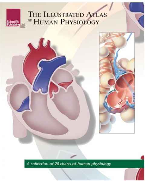 The Illustrated Atlas Of Human Physiology