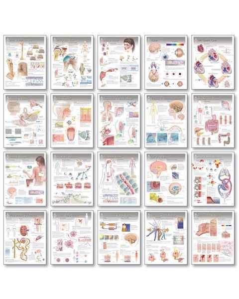 Complete Set of All 20 Physiology Charts