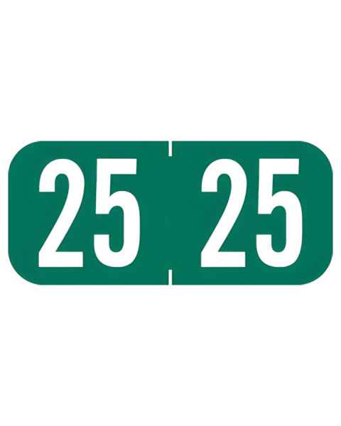 Arden Labels A1287-25-T3 Tab 1287 Compatible A1287 Series 2025 Year Labels - Size 1/2" H x 1 1/8" W