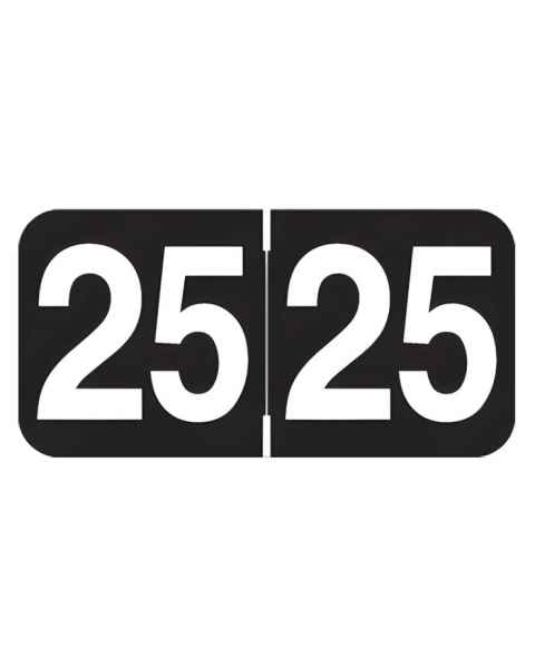2025 Year Labels - Ames Compatible AAYM Series - Size 3/4" H x 1 1/2" W