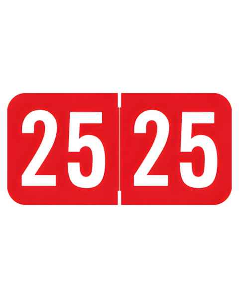 2025 Year Labels - ACME/S&W Compatible ACYM Series - Size 3/4" H x 1 1/2" W