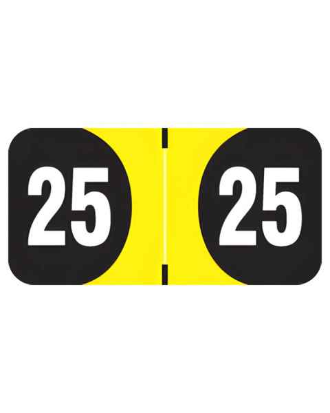 2025 Year Labels - Arden Compatible ADYM Series - Size 3/4" H x 1 1/2" W