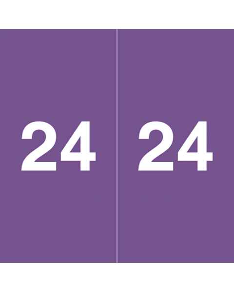 2024 Year Labels - Ames Compatible - Size 1 7/8