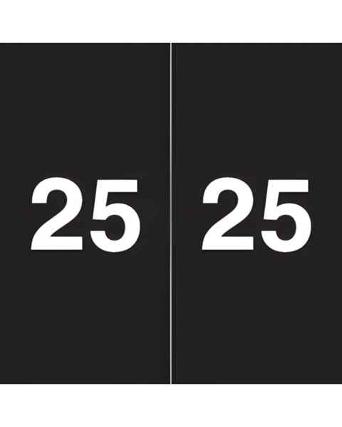 2025 Year Labels - Ames Compatible AEYM Series - Size 1 7/8" H x 1 7/8" W