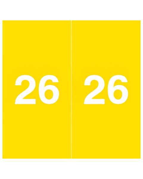 Arden Label AEYM-26-L5 Ames Compatible AEYM Series 2026 Year Labels - Size 1 7/8