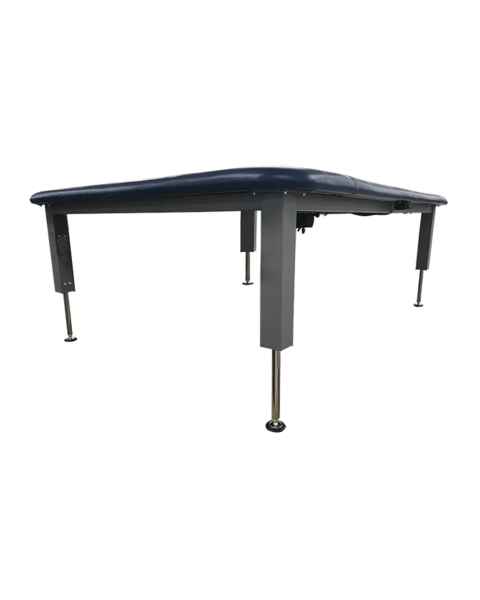 Pivotal Health Solutions Aluma Elite Elevating Mat Table