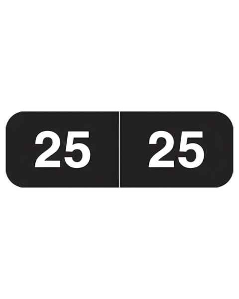 2025 Year Labels - Ames Compatible AMYM Series - Size 1/2" H x 1 1/2" W