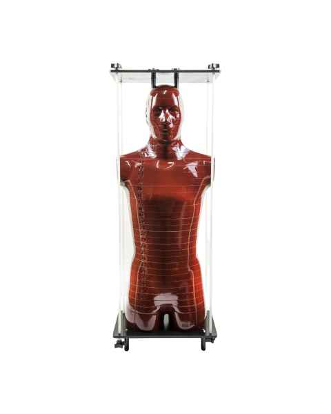 RSD Male ART Phantom with Cadaver Bones - Front View