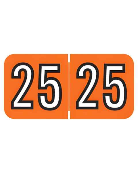 2025 Year Labels - Amerifile Compatible ARYM Series - Size 3/4" H x 1 1/2" W