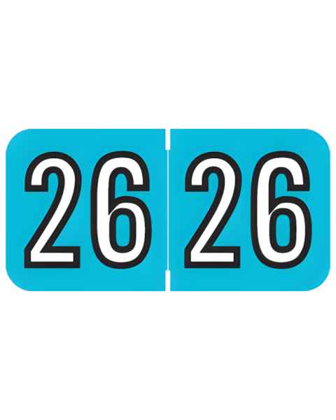 2026 Year Labels - Amerifile Compatible ARYM Series - Size 3/4