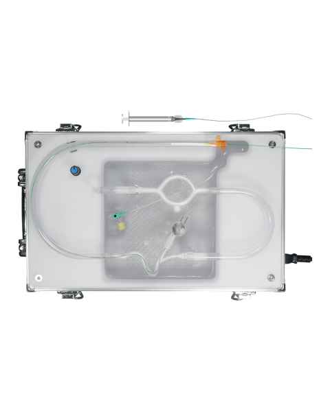 SurgMate AVM-B01 AVM Liquid Embolization Wiring and Glue Injection Training Platform (Syringe and Pipette Tips are Not Included)