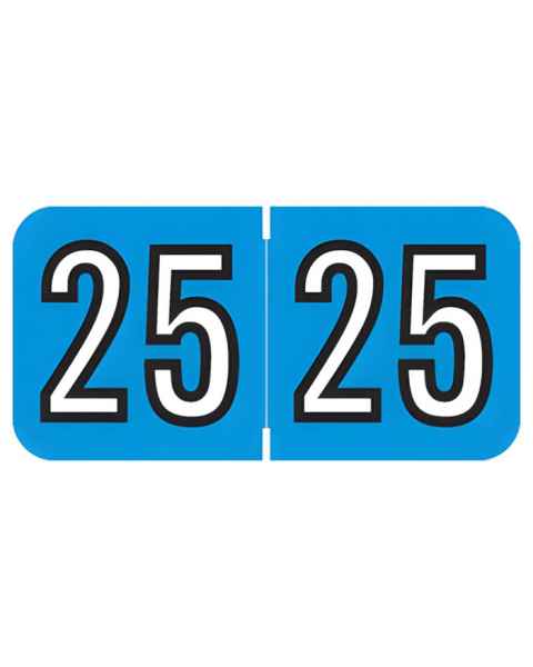 Arden Label BAYM-25-B45 Barkley Compatible BAYM Series 2025 Year Labels - Size 3/4" H x 1 1/2" W