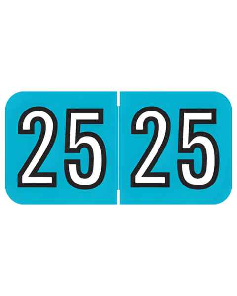 2025 Year Labels - Barkley Compatible BKYM Series - Size 3/4" H x 1 1/2" W