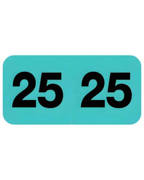 2025 Year Labels - Control-O-Fax Compatible CFYM Series - Size 3/4" H x 1 1/2" W