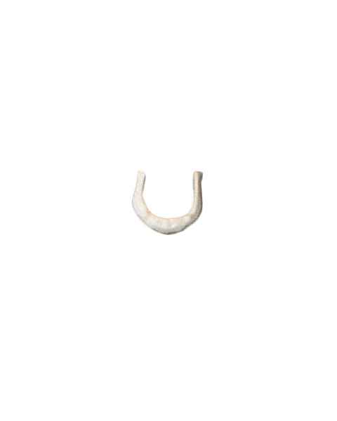 Hyoid Bone