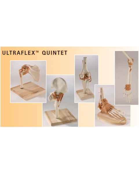 Ultraflex Ligamented Joint Quintet