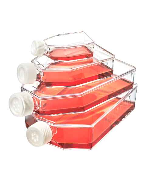 Globe Scientific Diamond® SureGro™ Cell Culture Flask, Non-Treated with Vent Cap