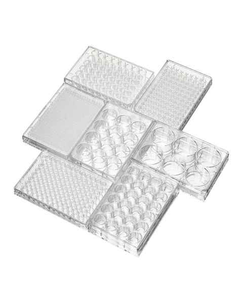 Globe Scientific Diamond® SureGro™ Multiple Well Plate, Non-Treated