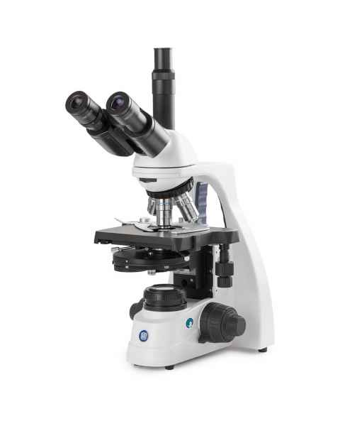 Globe Scientific EBS-1153-PLPHI bScope Trinocular Compound Microscope, HWF 10x/20mm Eyepieces, Quintuple Nosepiece with Plan Phase PLPHi