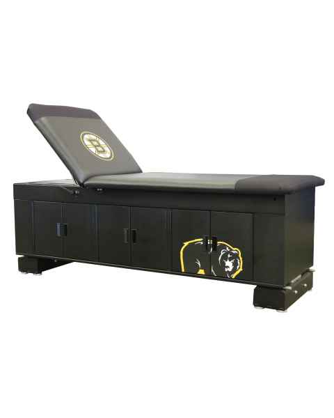 Pivotal Health Solutions ET-102 ET Hi-Lo Electric Treatment Table with Dual-Sided Cabinet, Double-Door - with Lift Back Cushion (The Lift Back Cushion and Logos are Sold Separately)