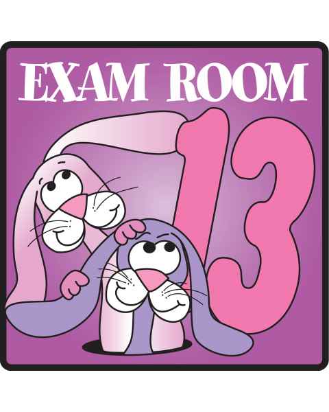 Clinton EX13 Exam Room 13 Sign