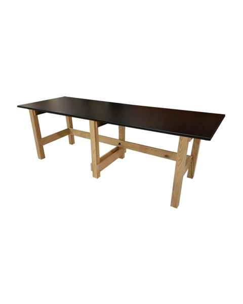 Pivotal Health Solutions FESS-LAB-6L Classroom and Lab Treatment Table