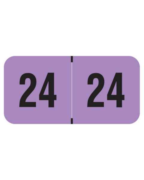 2024 Year Labels - PMA Fluorescent Violet - Size 3/4" H x 1 1/2" W