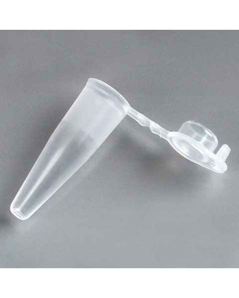 Globe Scientific 110571N Natural 0.2mL PCR Tubes - Thin Wall Polypropylene with Attached Flat Top Cap