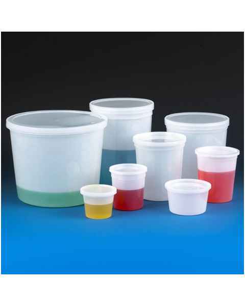 Economy Style Multi-Purpose Containers with Snap-On Lid - Translucent