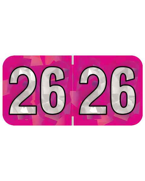 Arden Label HFYM-26-T4 PMA Holographic Fuchsia 2026 Year Labels - Size 3/4
