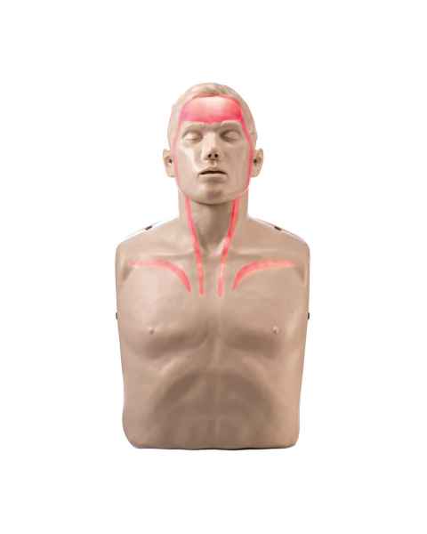 AERO Healthcare IM13-R Brayden Adult CPR Manikin with LED Lights