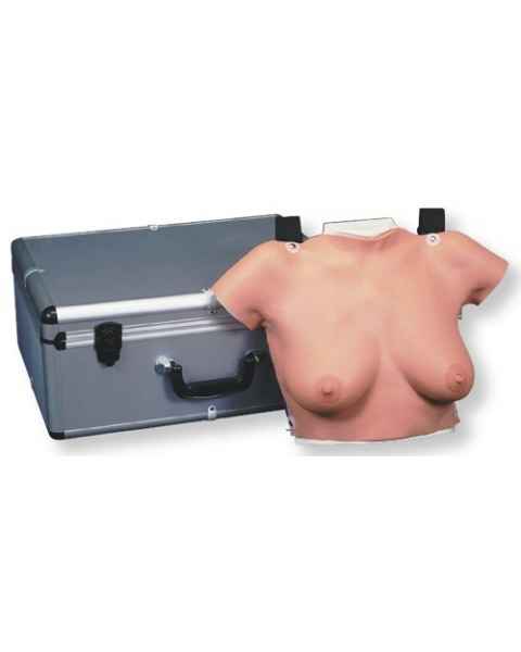 Wearable Breast Self-Exam Model with Carrying Case