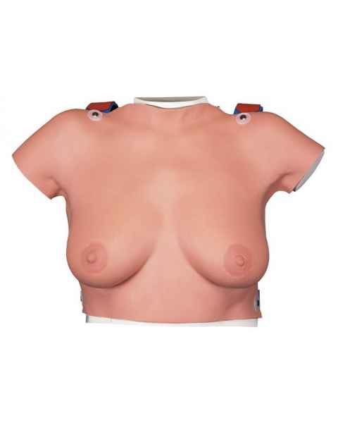 Wearable Breast Self-Exam Model