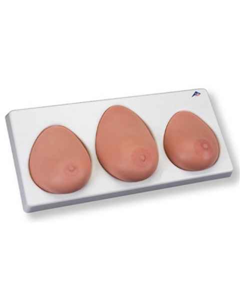 Breast Self-Exam Model 3-Piece