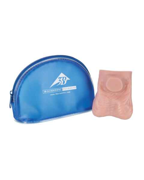 3B Scientific L60 SKINlike™ Testicle Examination Model - Light Skin Tone, With Pouch