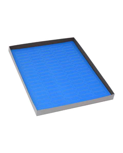 Globe Scientific LCS-33X13B Cryogenic Label Sheet for 1.5-2.0 mL Tubes - 33 mm x 13 mm, Blue