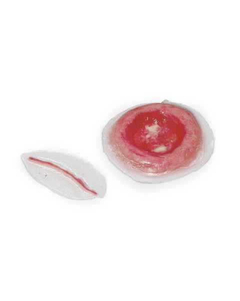 Life/form Moulage Wound - Lacerations Simulator - Set of 2
