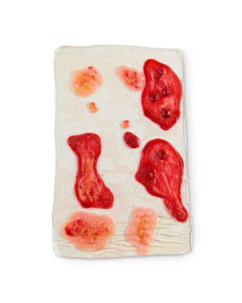 Life/form Shingles Rashes Roll Simulator