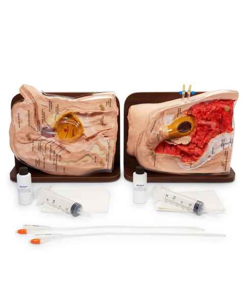 Life/form Cath-Ed 1 and Cath-Ed 2 Simulators Set